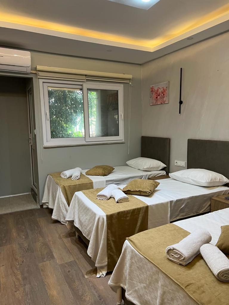 Mr Lion Kumkapi Otel Isztambul Kültér fotó
